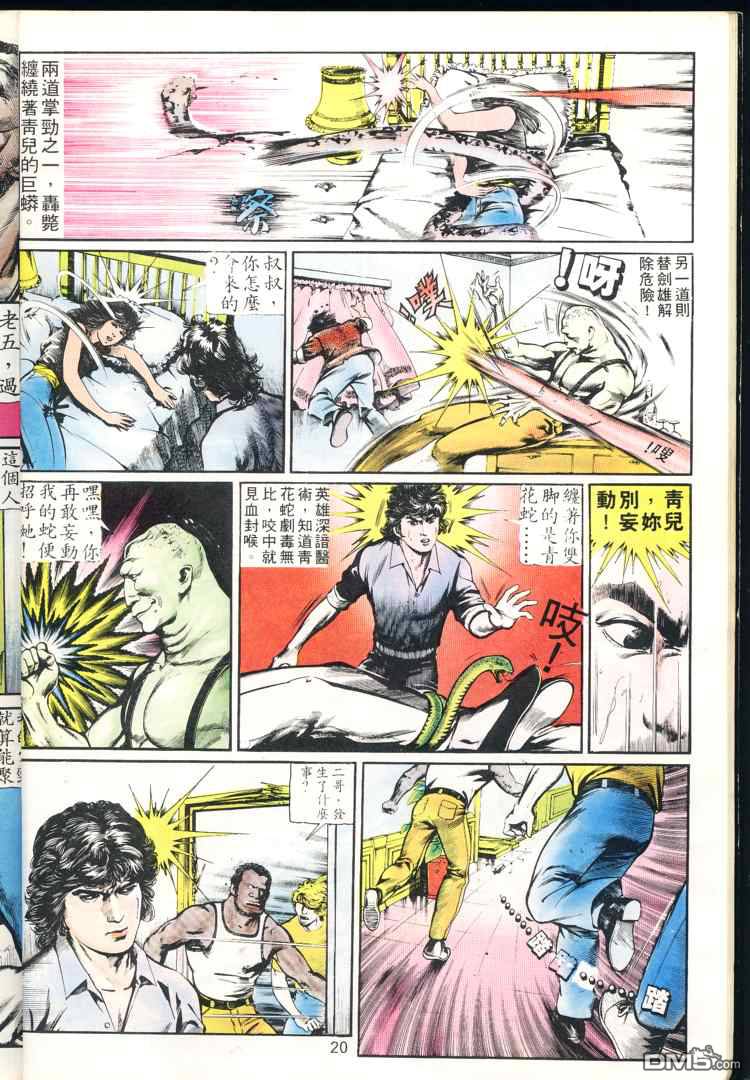 第 20 页