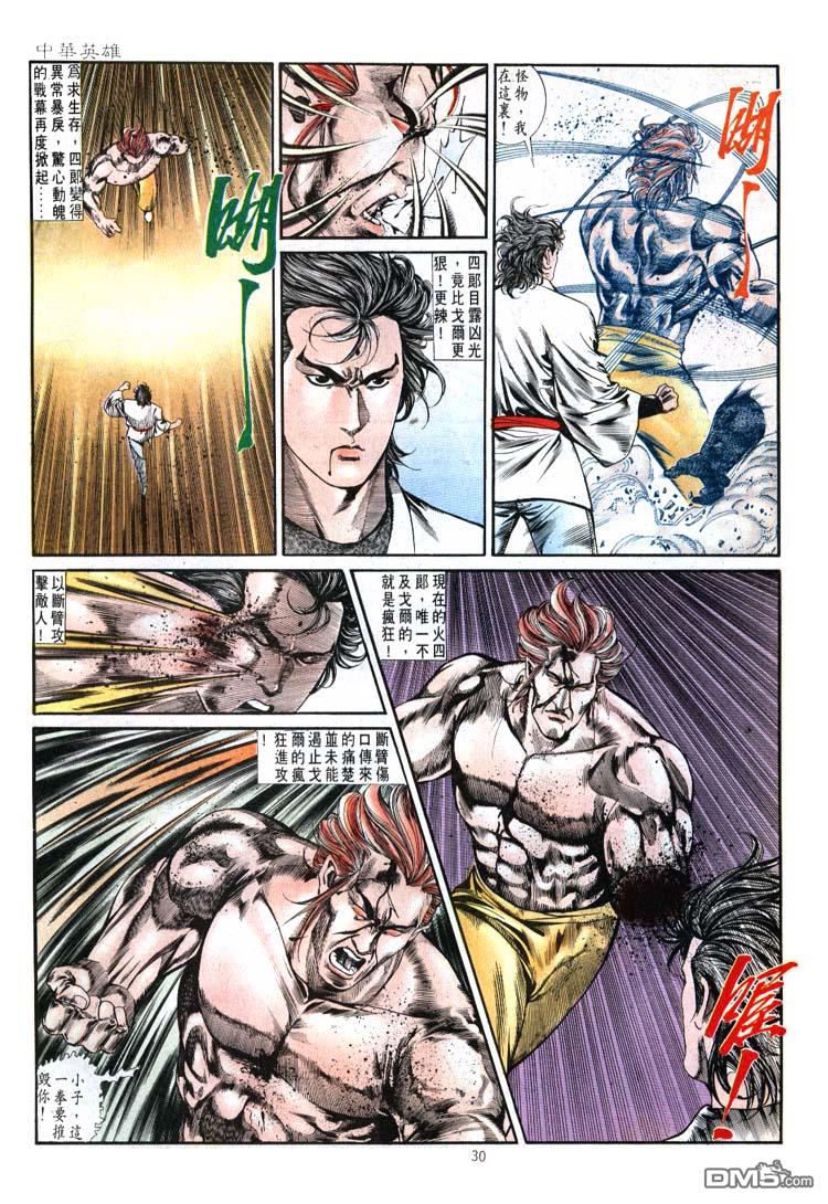 第 30 页