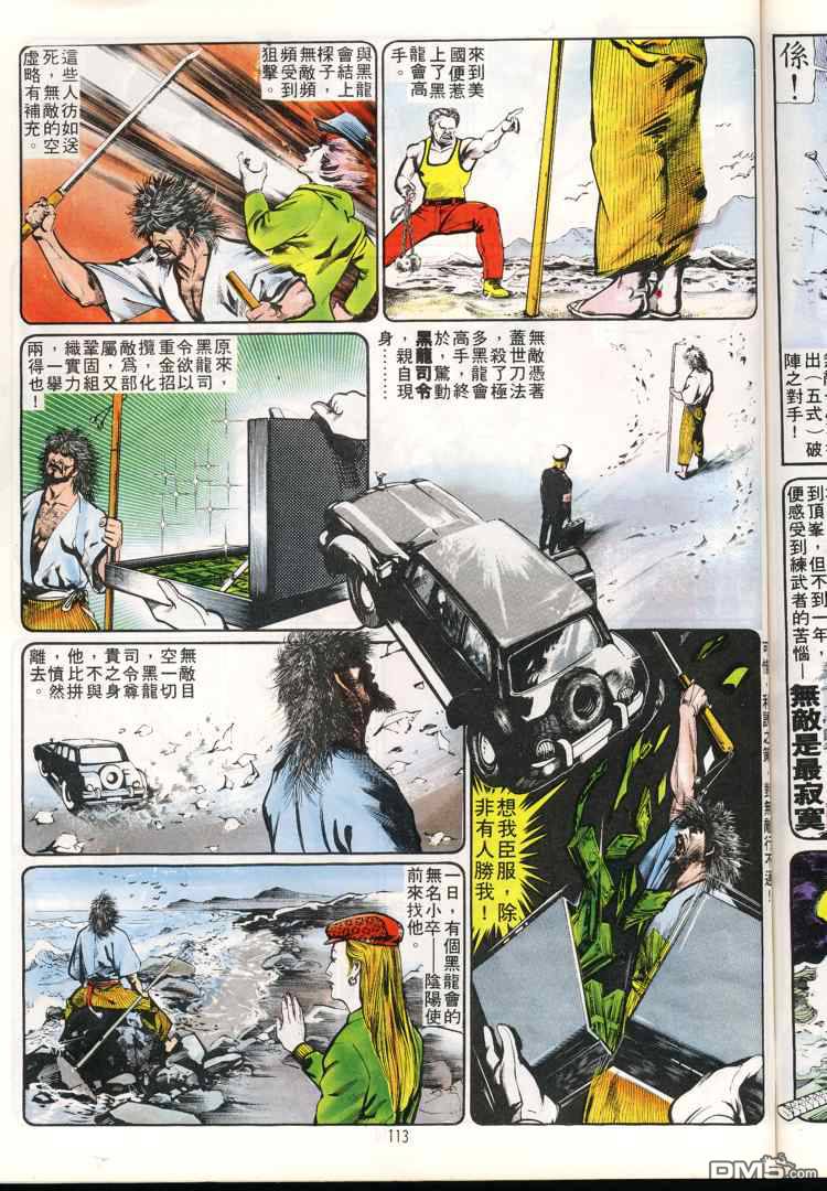 第 113 页