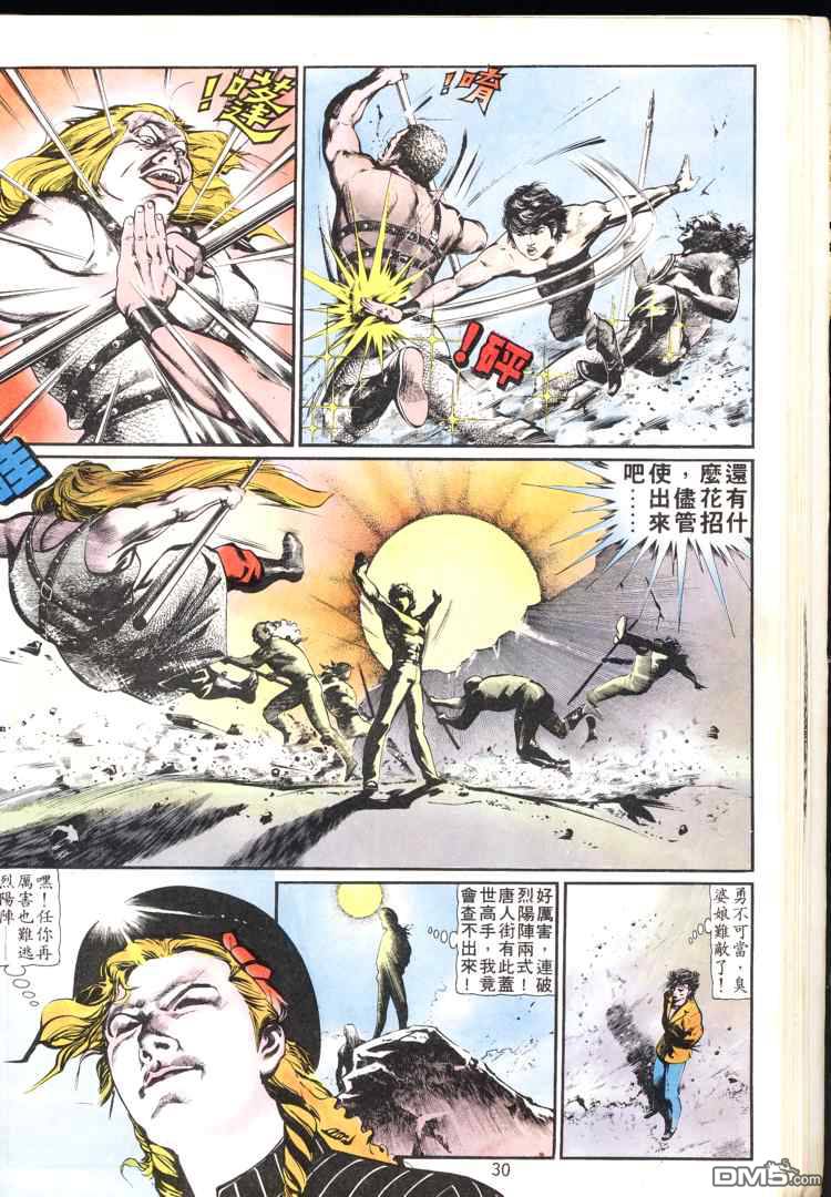 第 30 页