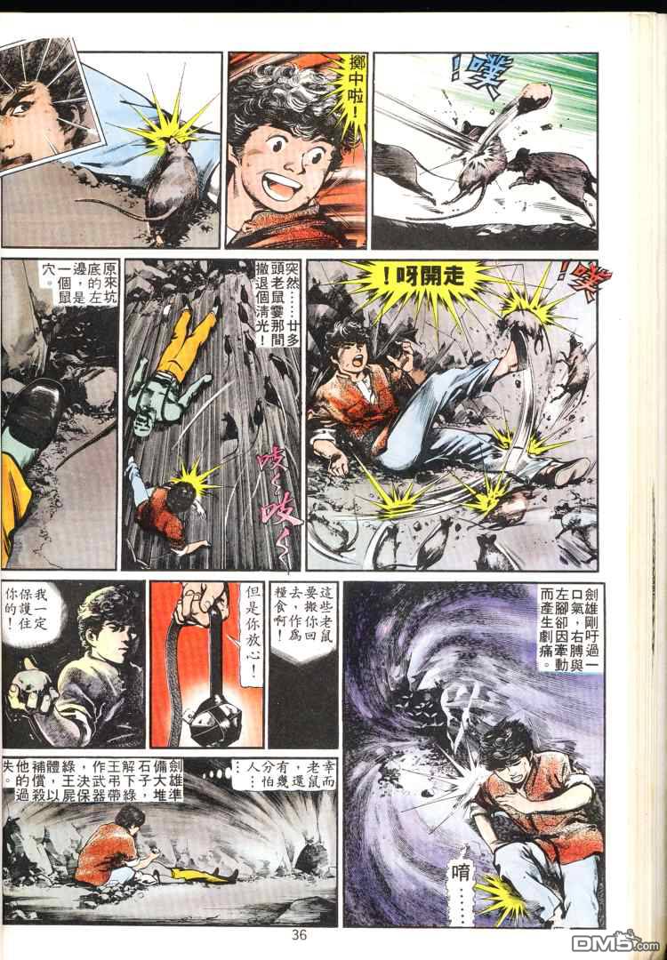 第 36 页