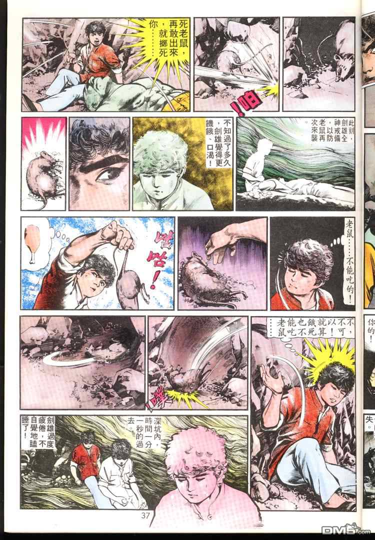 第 37 页