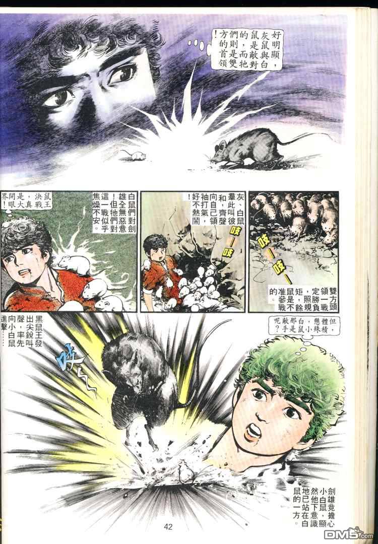 第 42 页