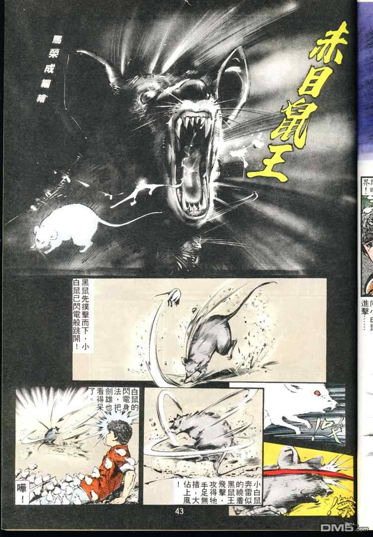 第 43 页