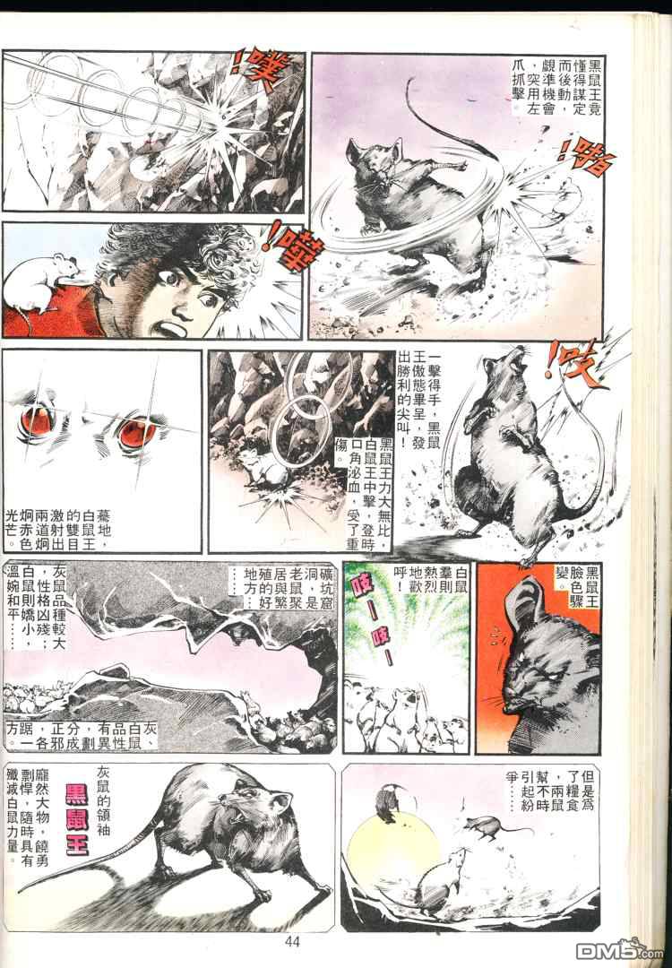 第 44 页