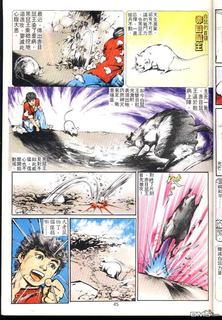 第 45 页
