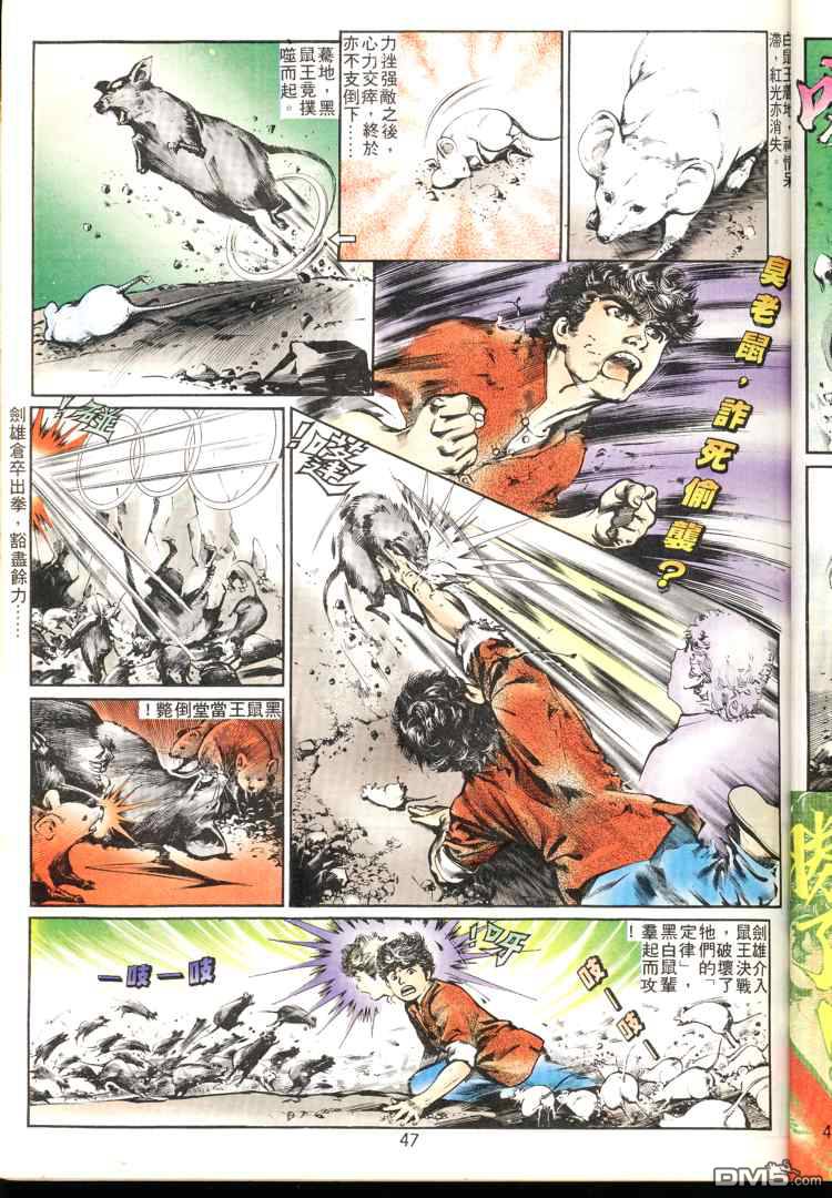 第 47 页