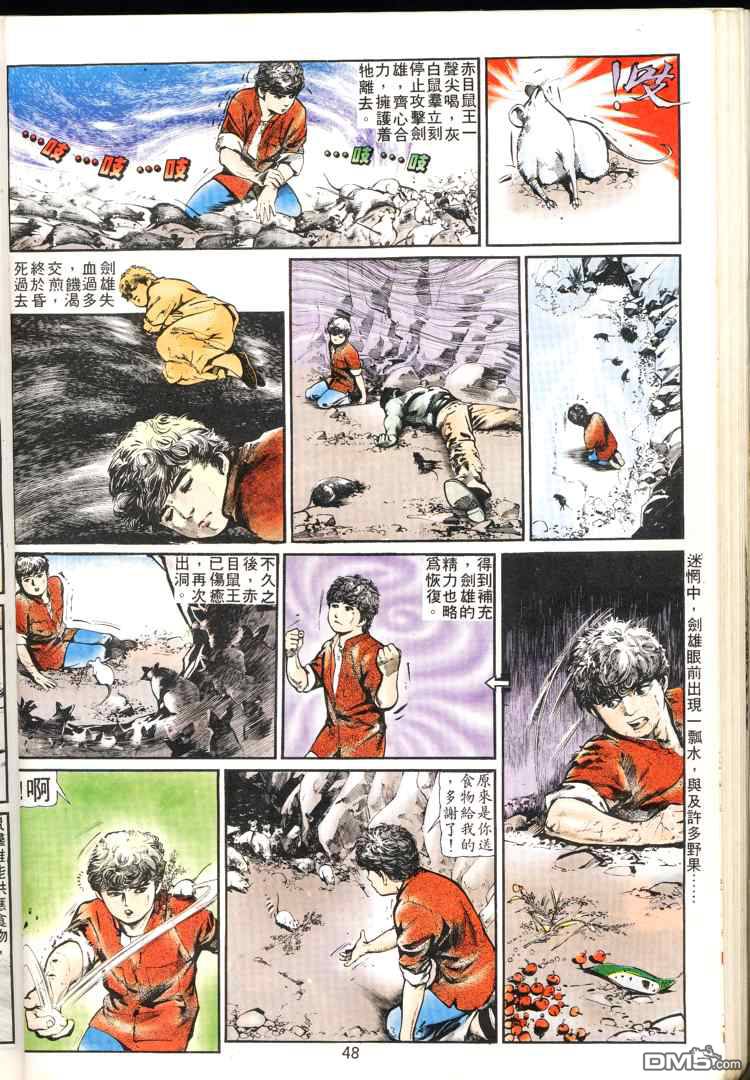 第 48 页
