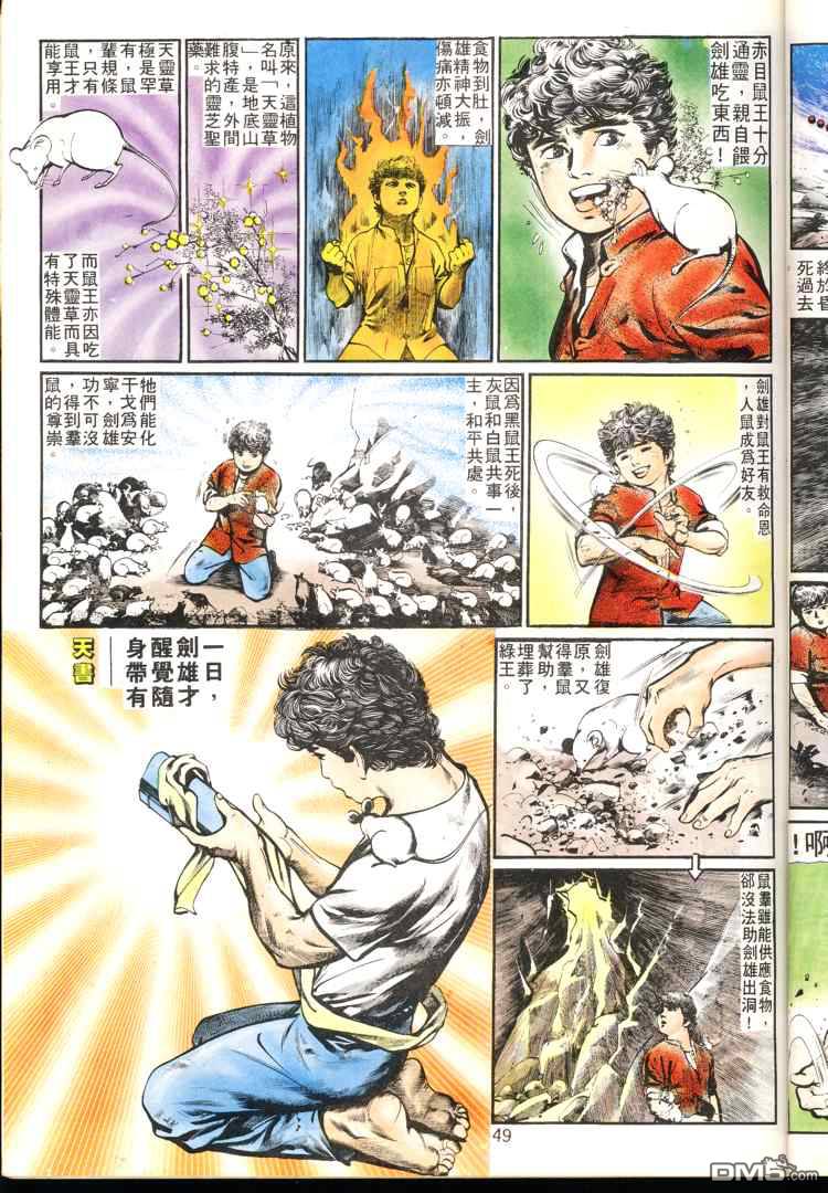 第 49 页