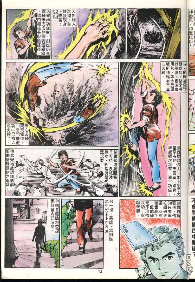 第 43 页