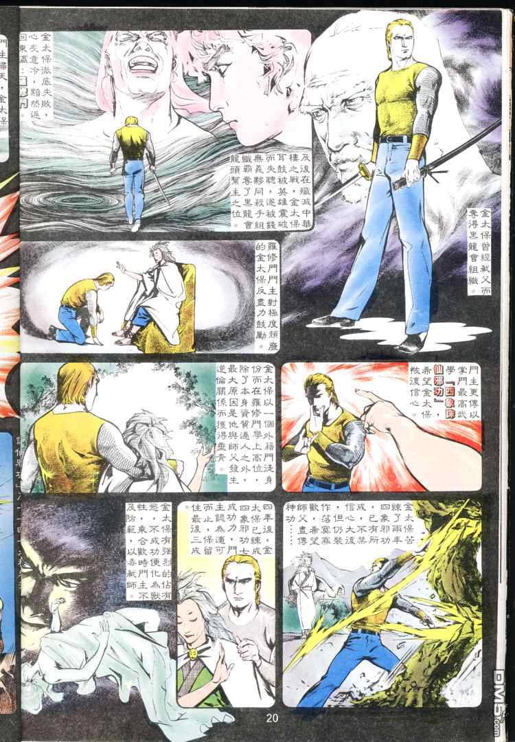 第 20 页