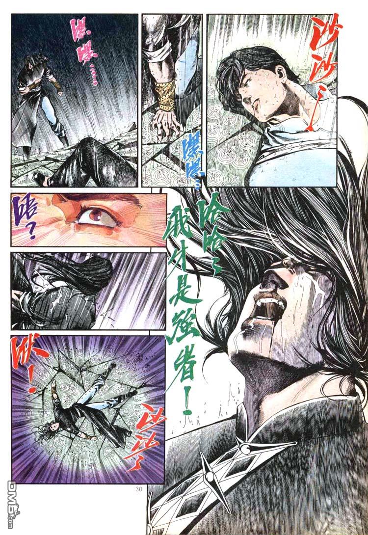 第 30 页