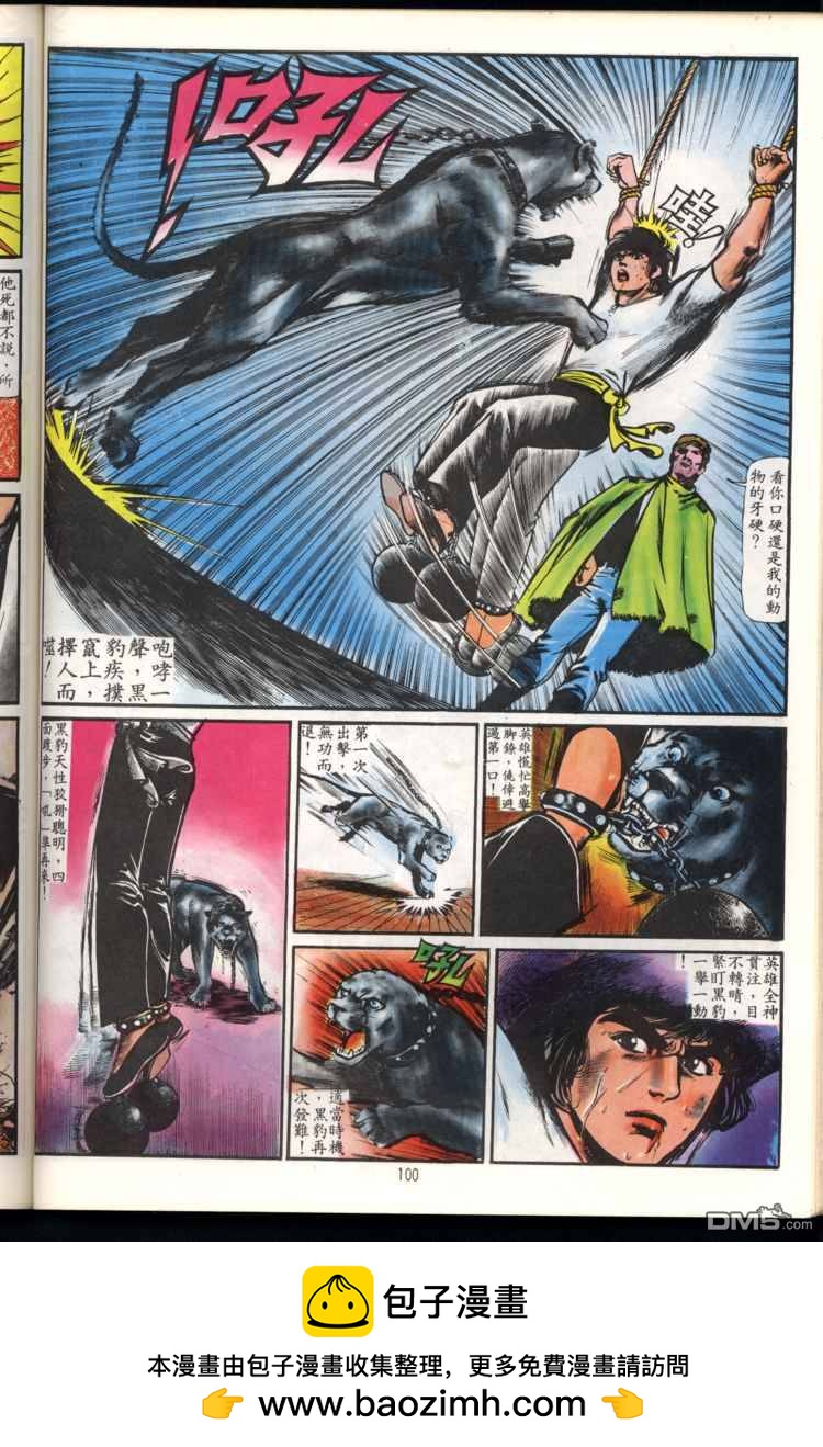 第 100 页