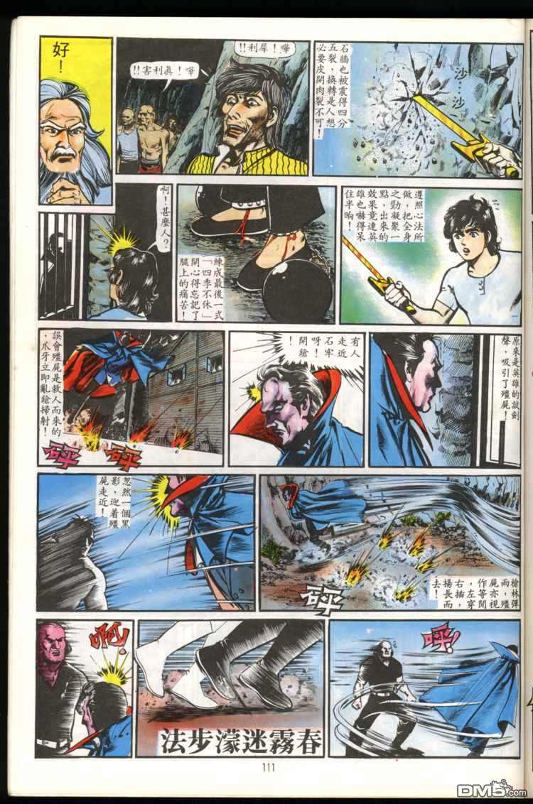 第 111 页