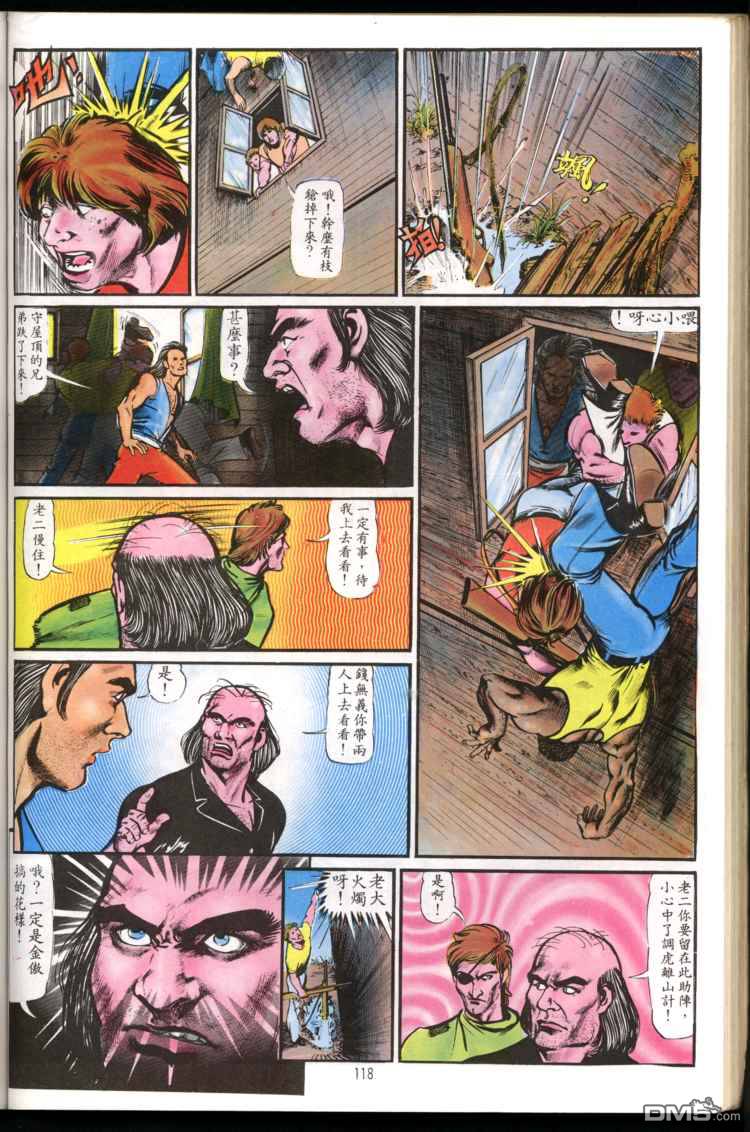 第 118 页