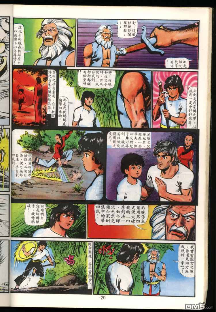 第 20 页