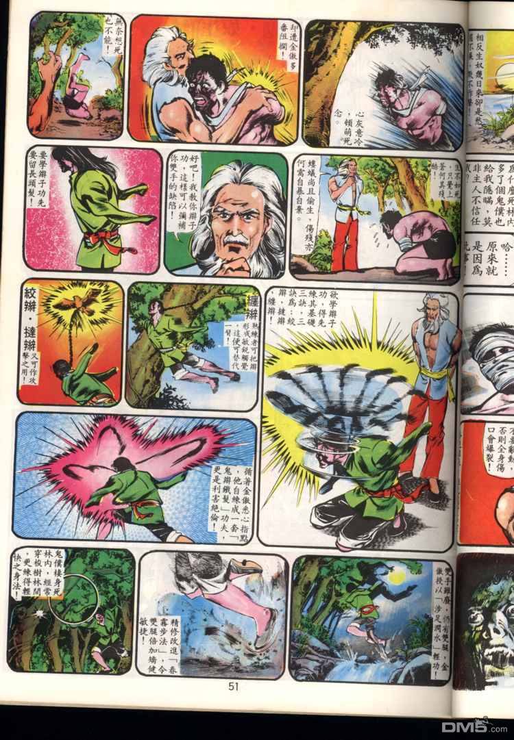 第 51 页