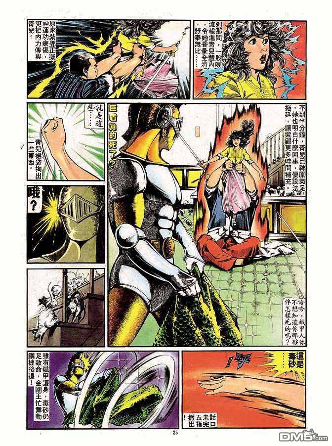 第 25 页