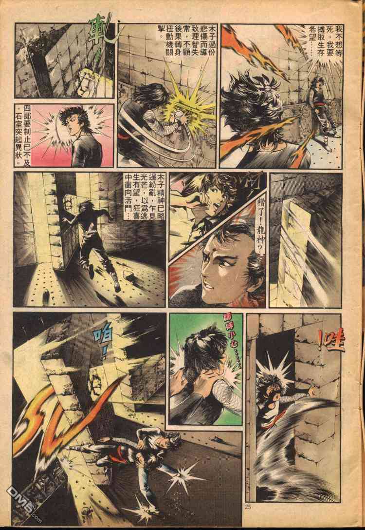 第 25 页