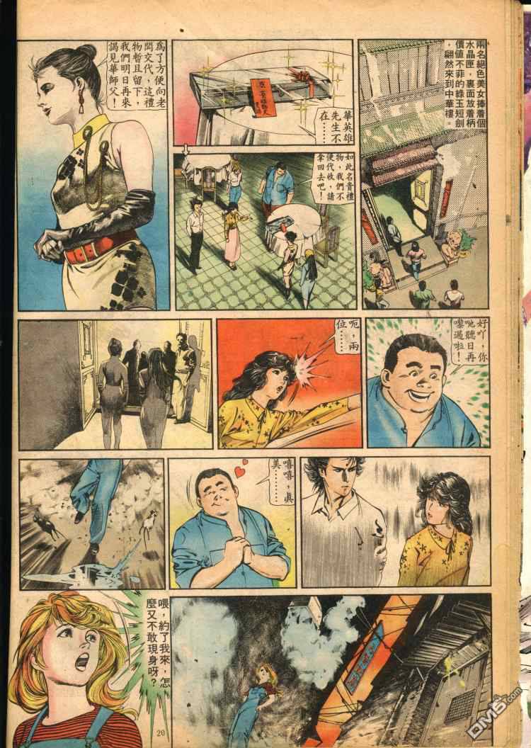 第 20 页