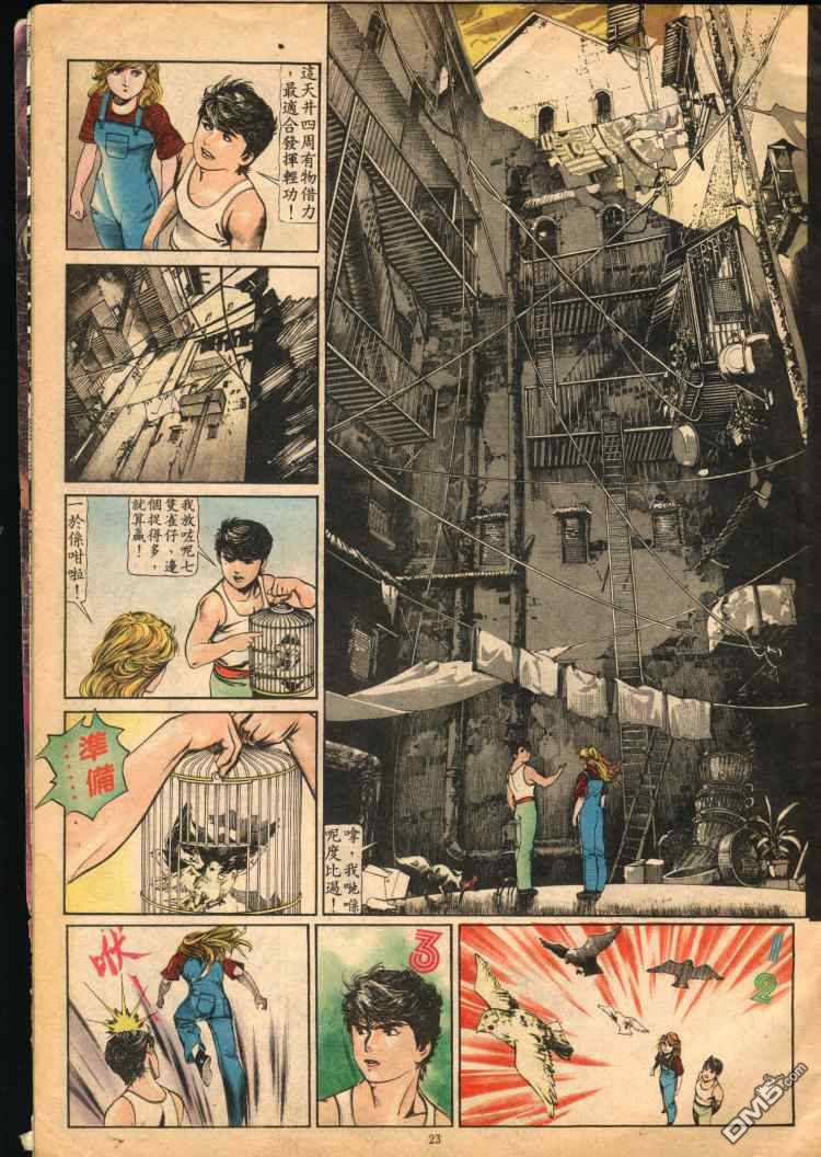 第 23 页
