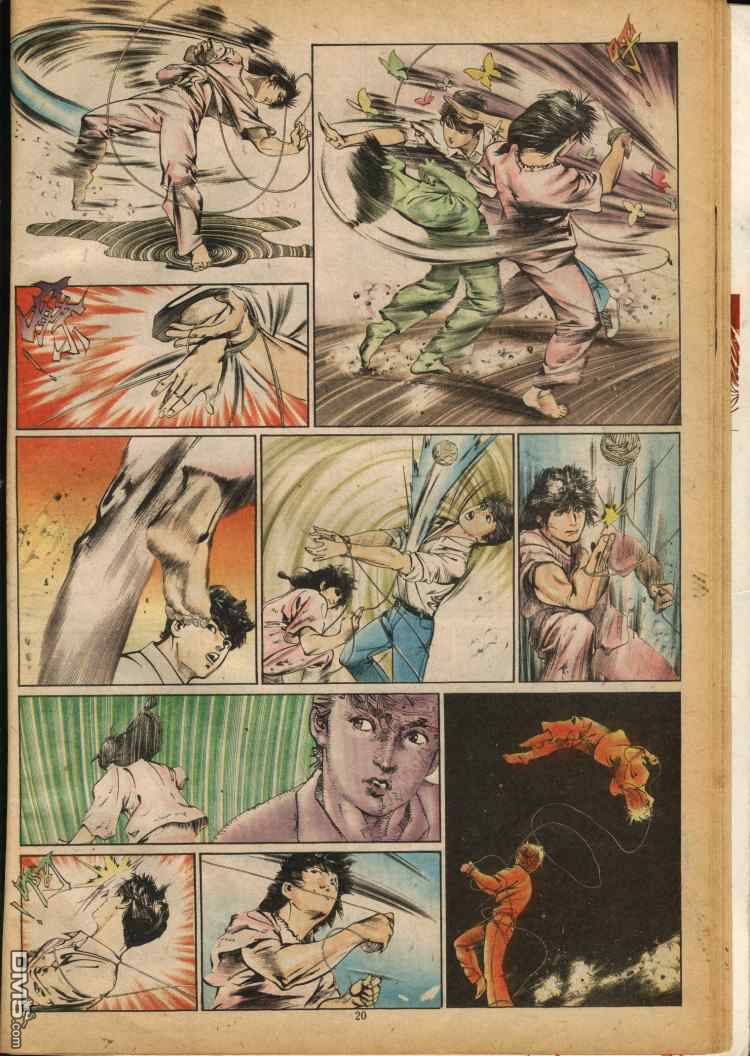 第 20 页