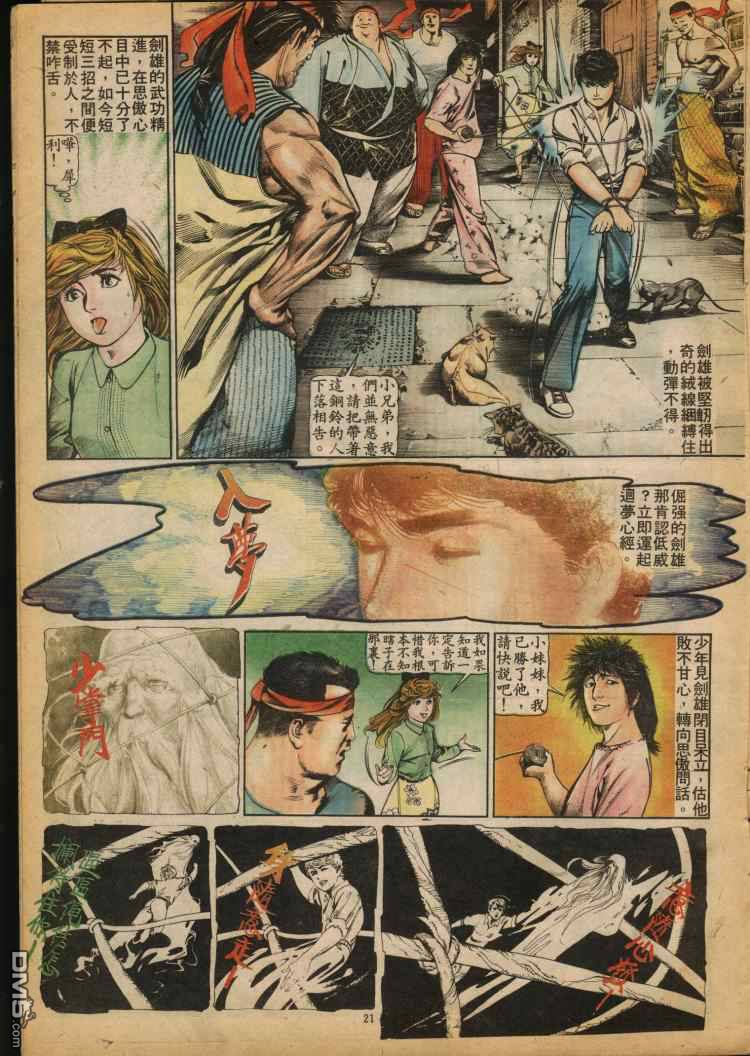 第 21 页