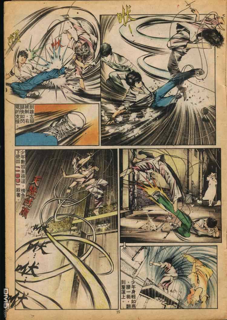 第 25 页