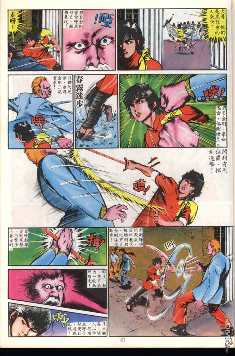 第 107 页