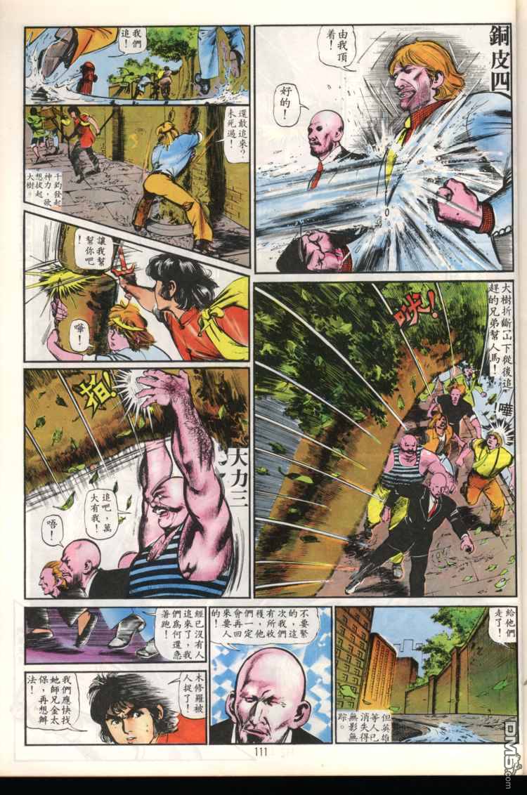 第 111 页