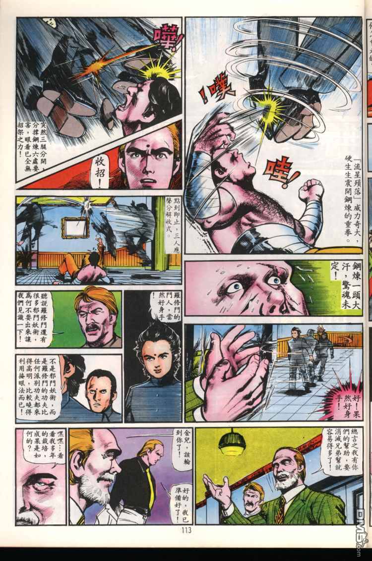 第 113 页