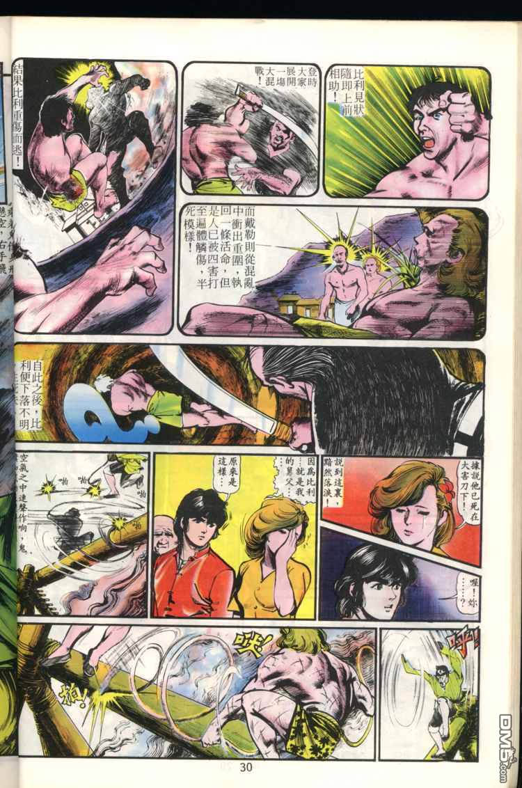 第 30 页