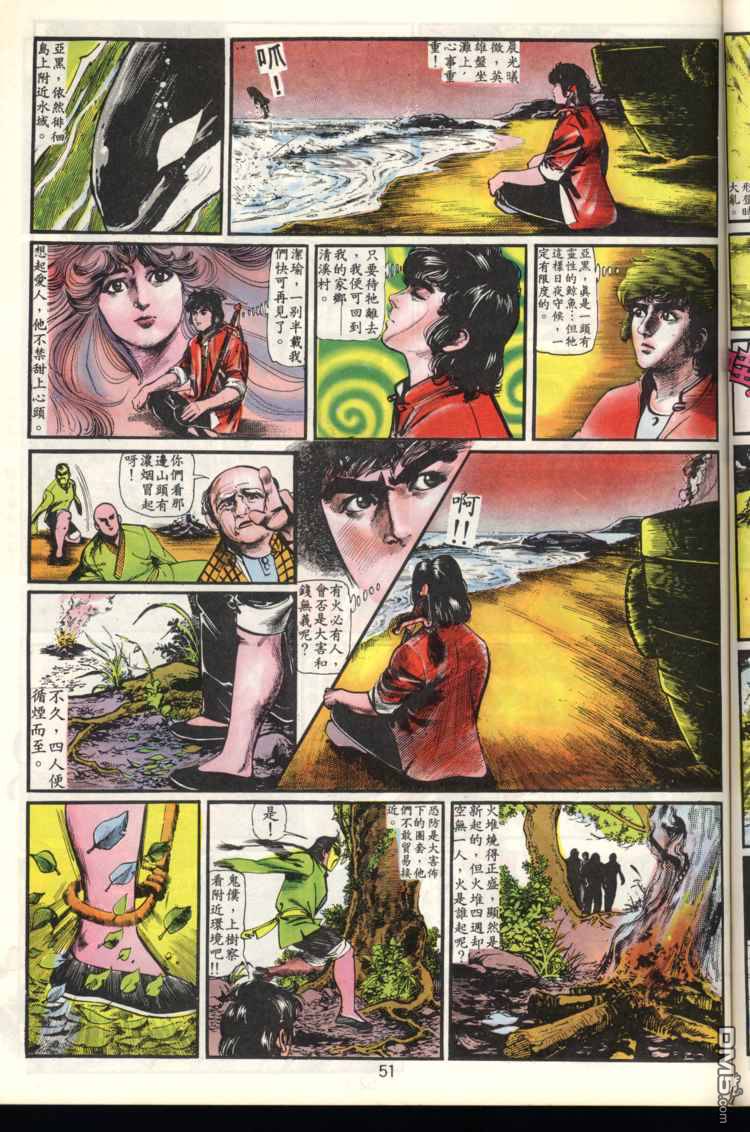 第 51 页