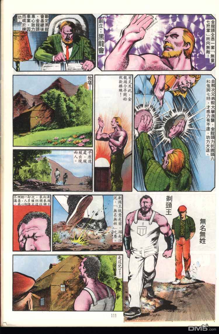 第 111 页