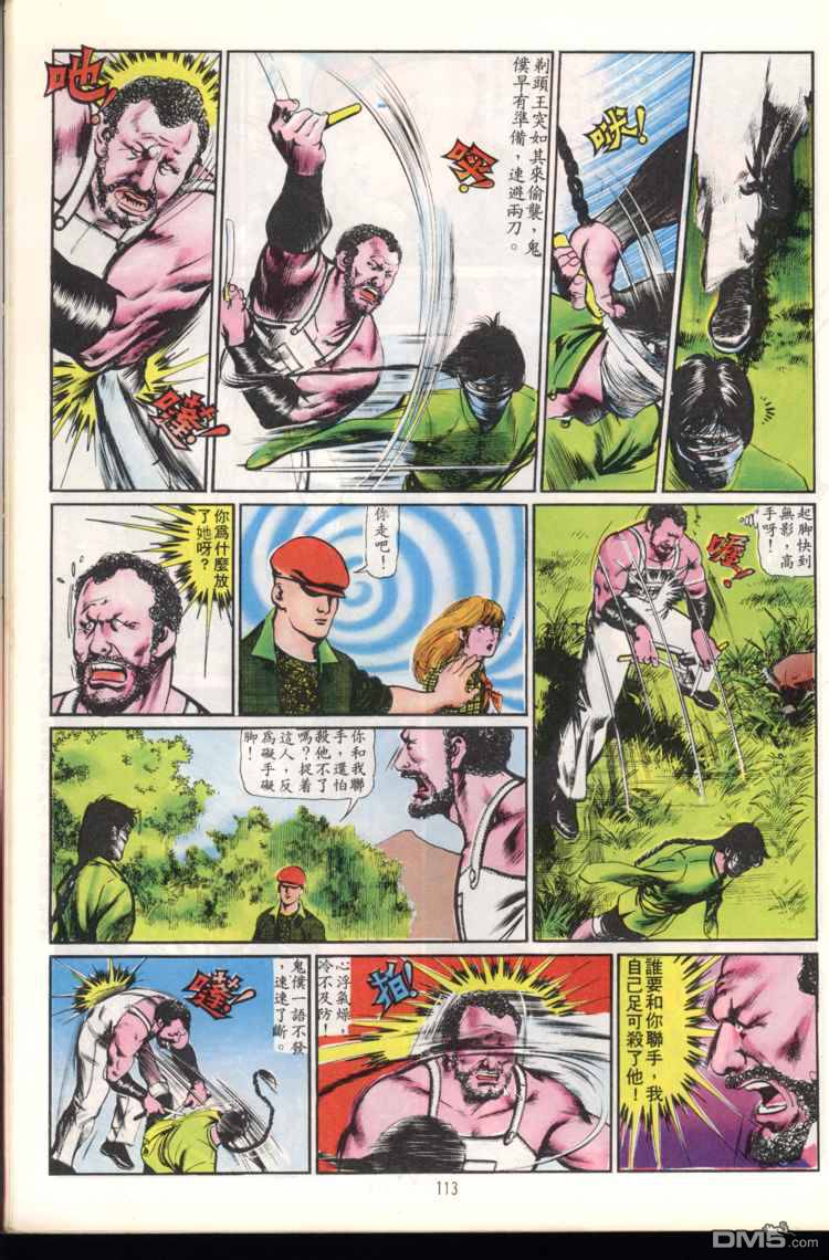 第 113 页