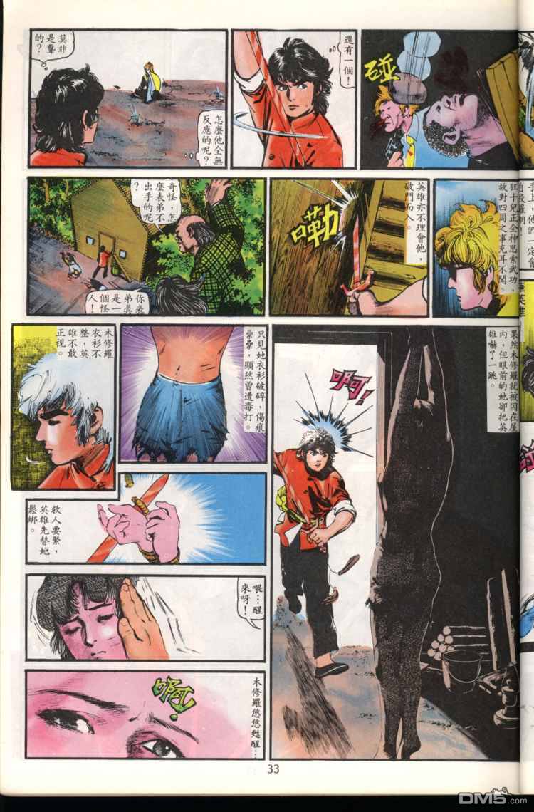 第 33 页