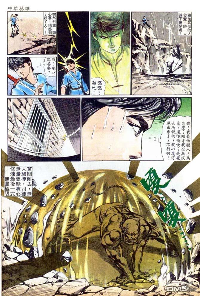 第 20 页