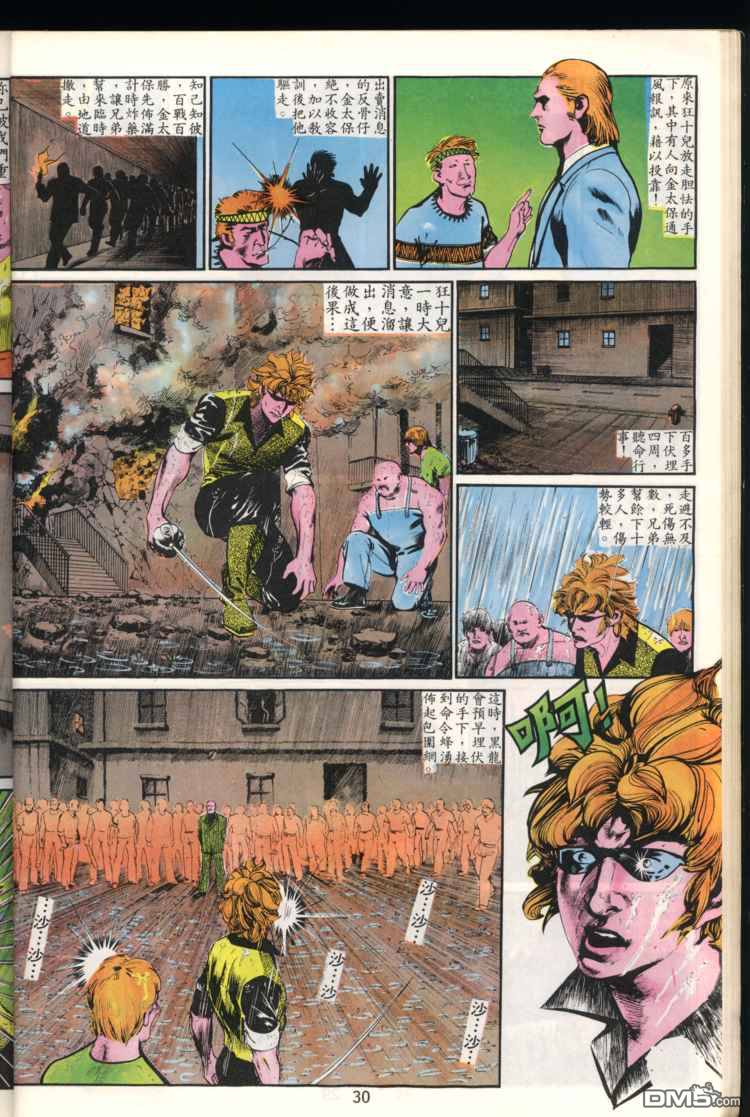 第 30 页