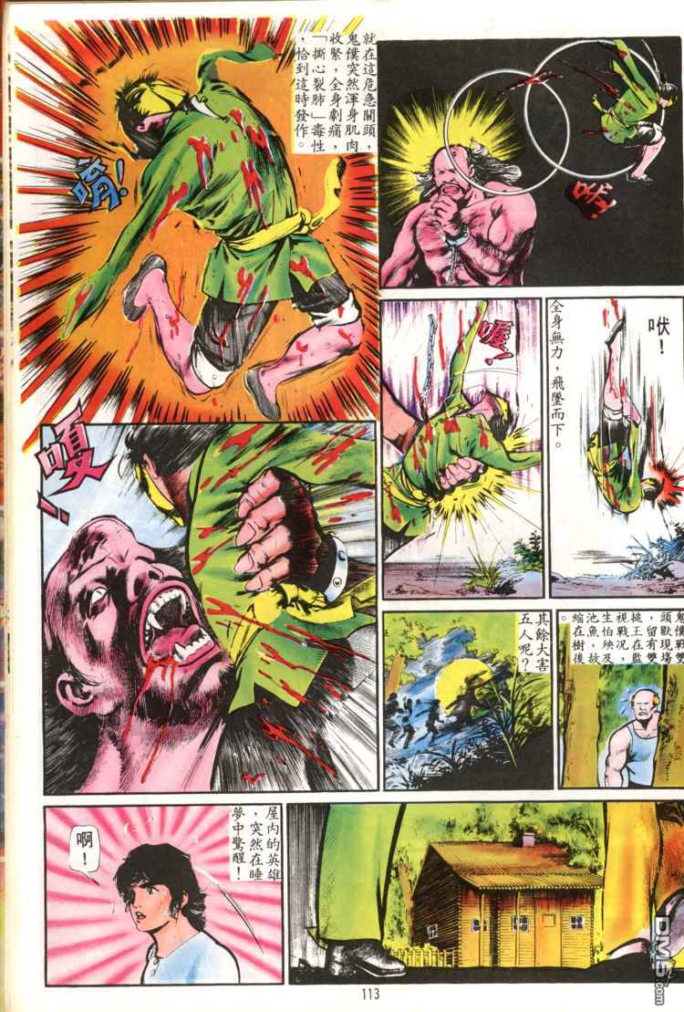 第 113 页
