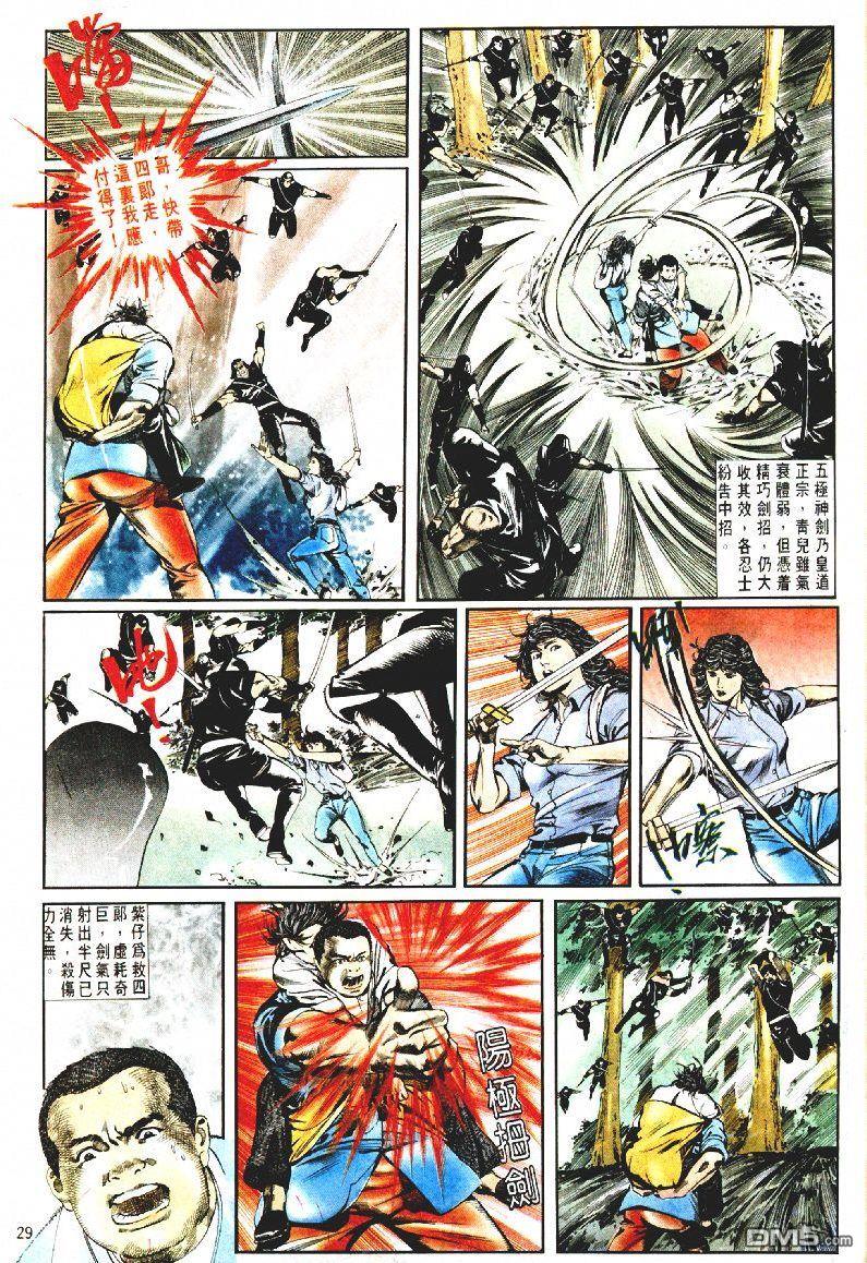 第 29 页