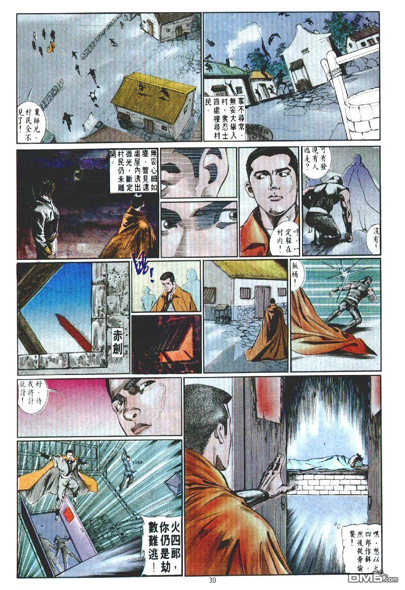 第 30 页