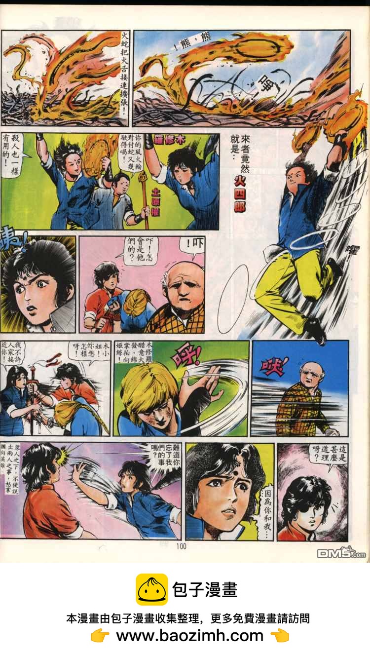 第 100 页