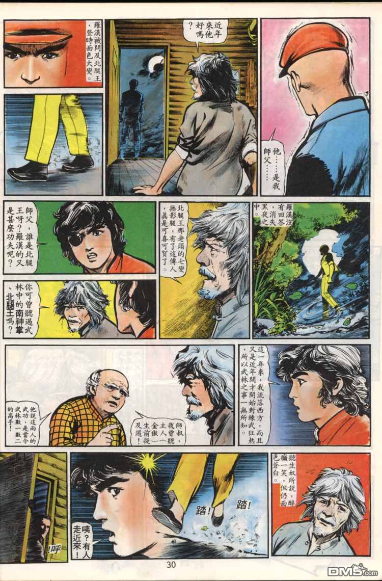 第 30 页