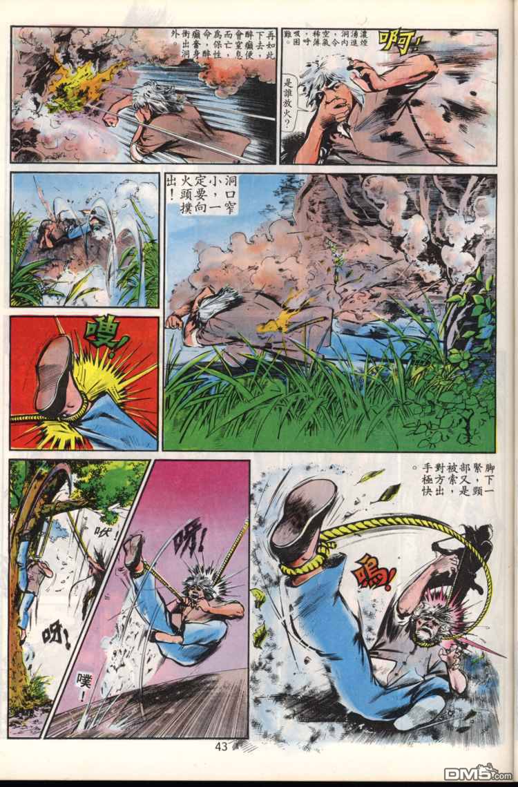 第 43 页