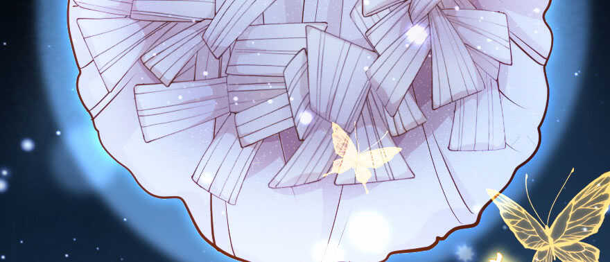 第 82 页