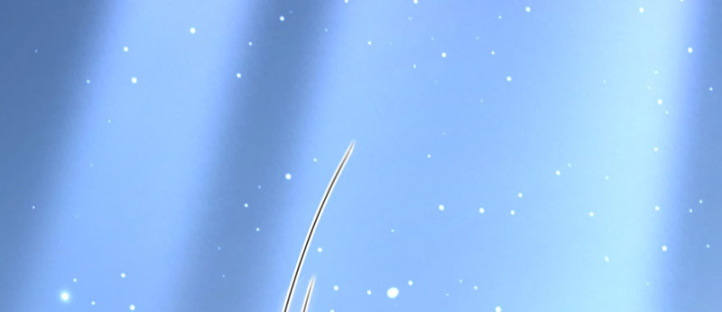 第 163 页