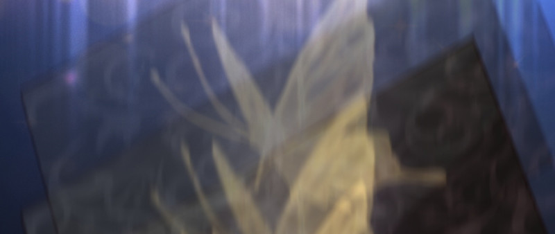 第 54 页