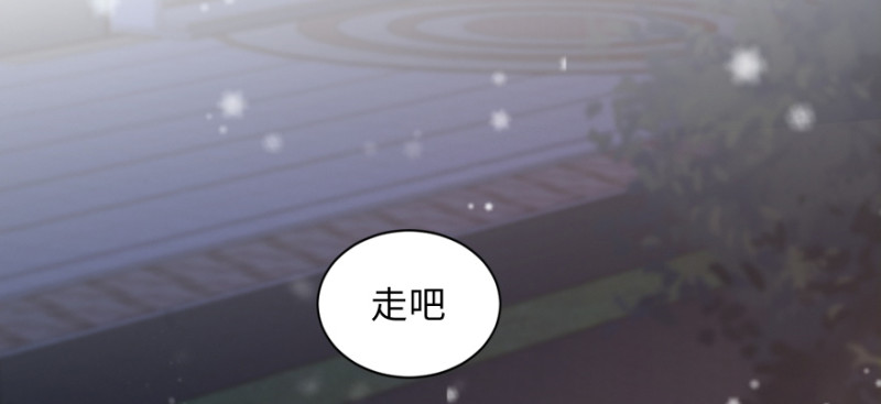 第 113 页