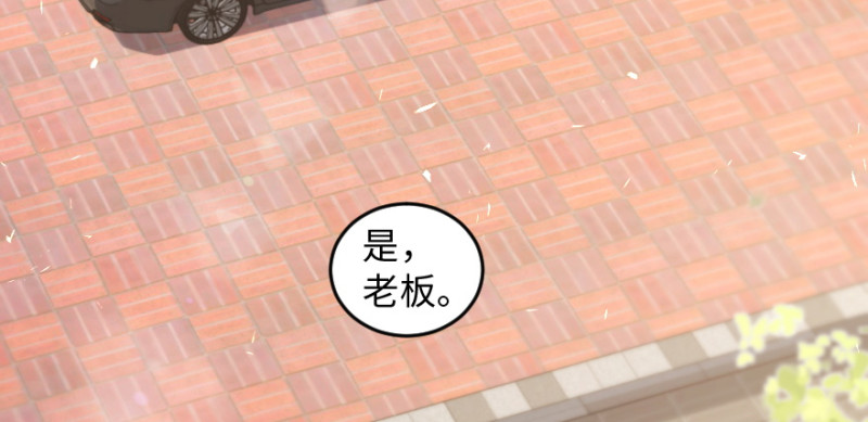 第 87 页