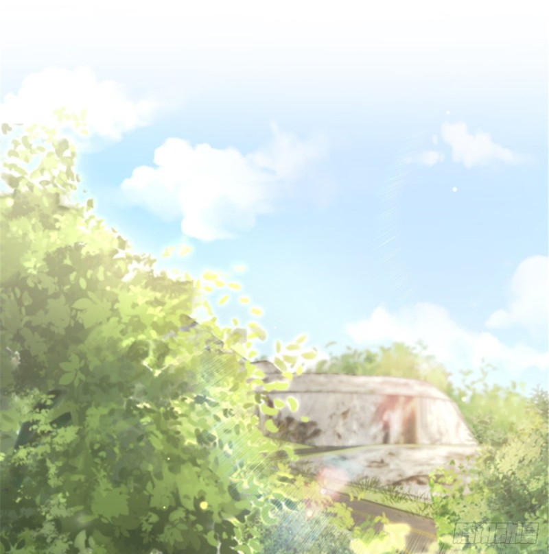 第 41 页